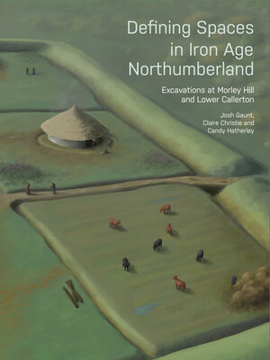 cover image of Defining Spaces in Iron Age Northumberland